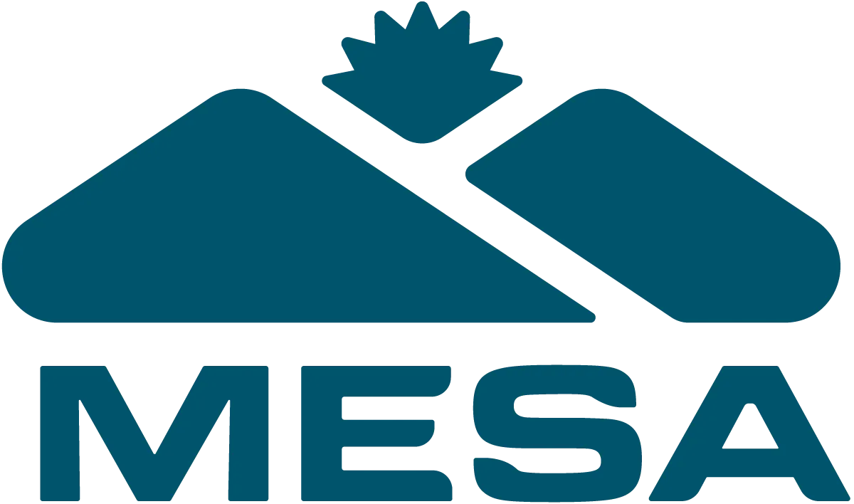 company logo