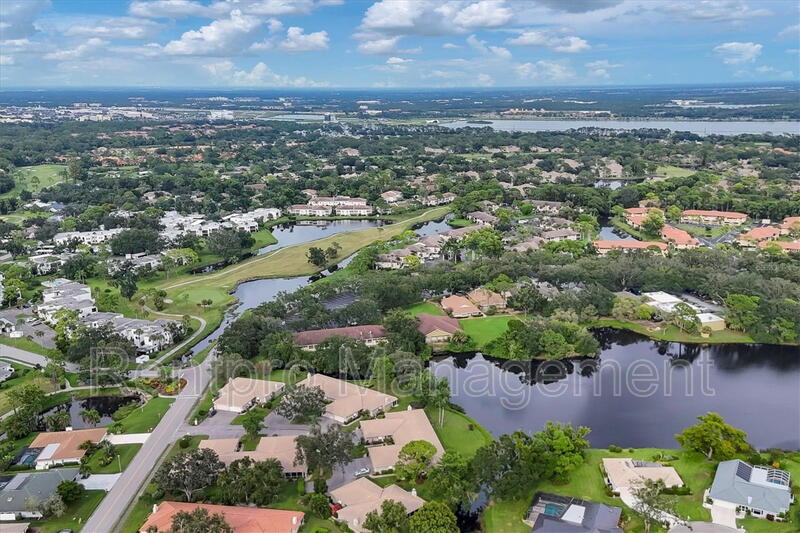 Sarasota House: 3038 Ringwood Meadow