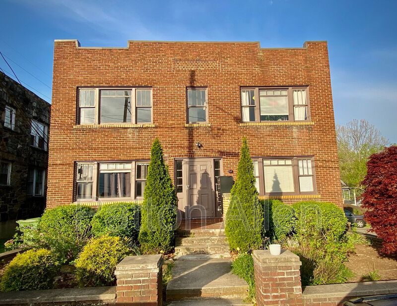 Asheville Condo: 60 Flint St