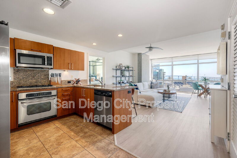 San Diego Condo: 800 The Mark Lane