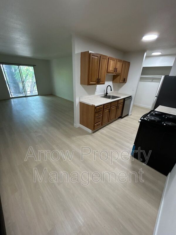 Bismarck House: 215 E Arbor-302C