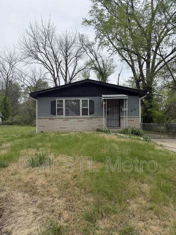 Ferguson House: 519 Graf Ave