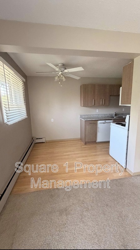 Edmonton Condo: 10255 117 St