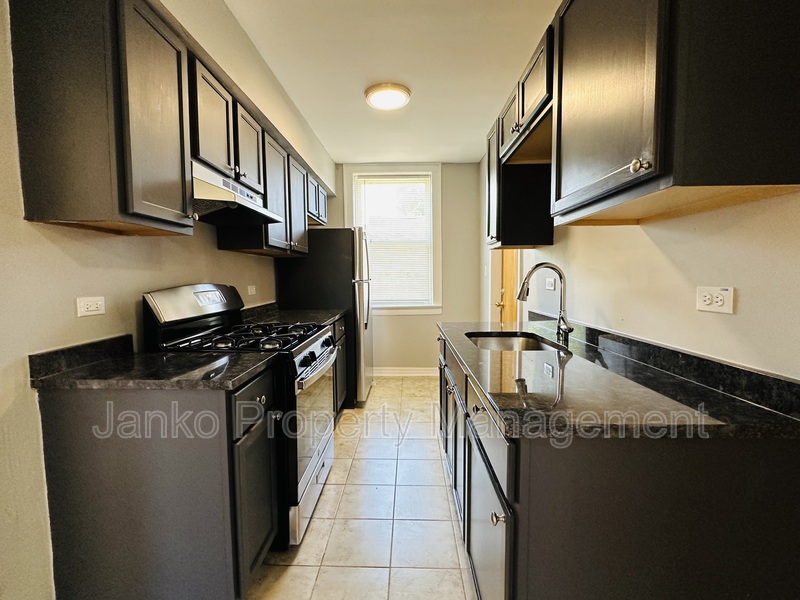 Chicago Condo: 644 N Mayfield Ave