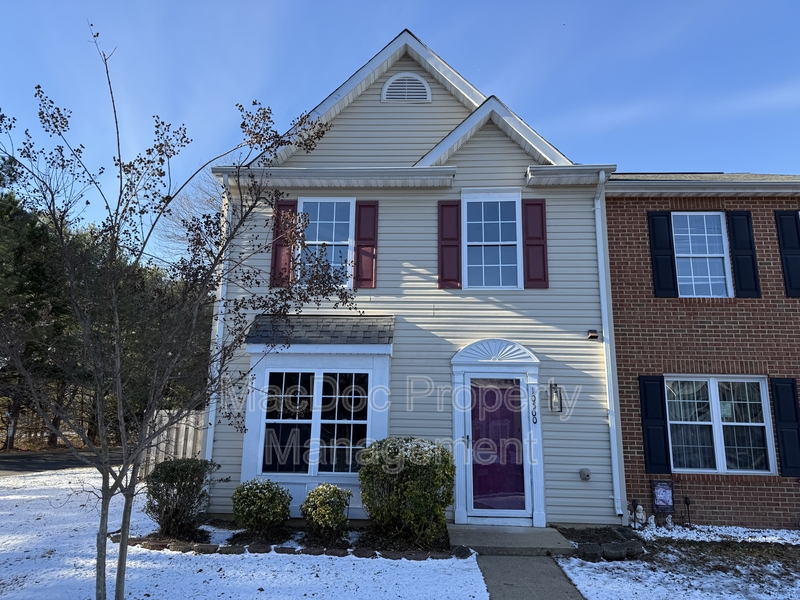 Fredericksburg Townhome: 10500 Boxmeer Court