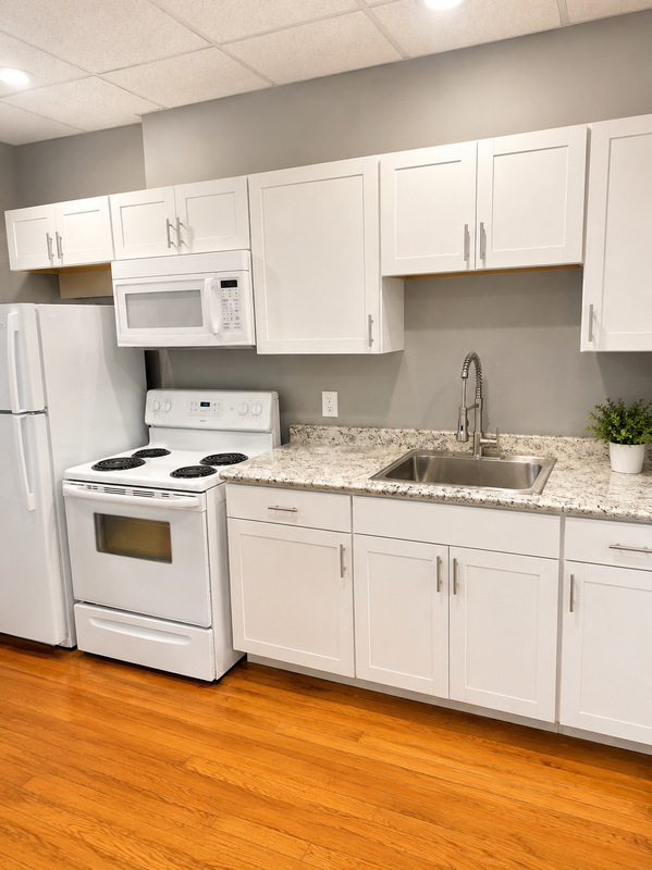 Albany Condo: 240 Elm Street - 2