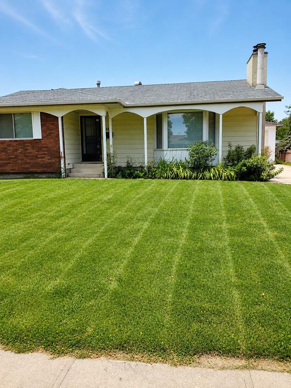 St. Albert House: 116 Akins Dr
