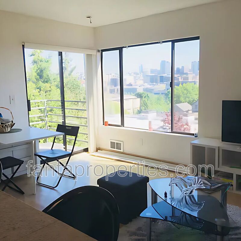 Seattle Condo: 1312 6th Avenue North