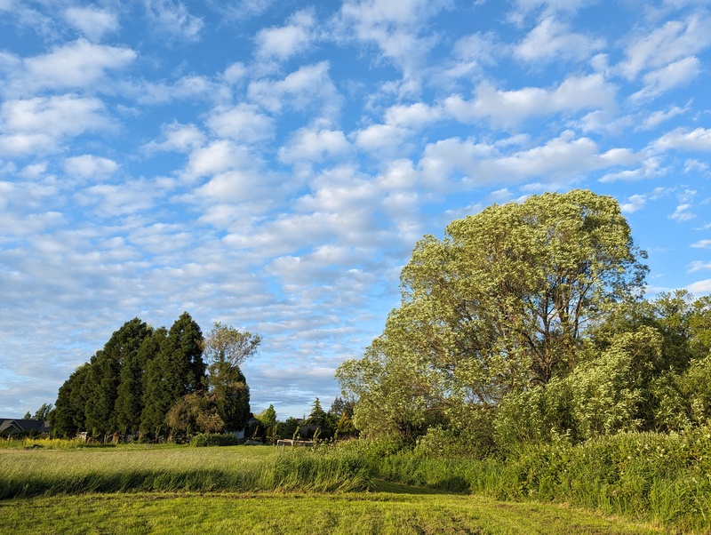 Battle Ground Condo: 19105 NE 112th Ave, Battle Ground, WA 98604, USA