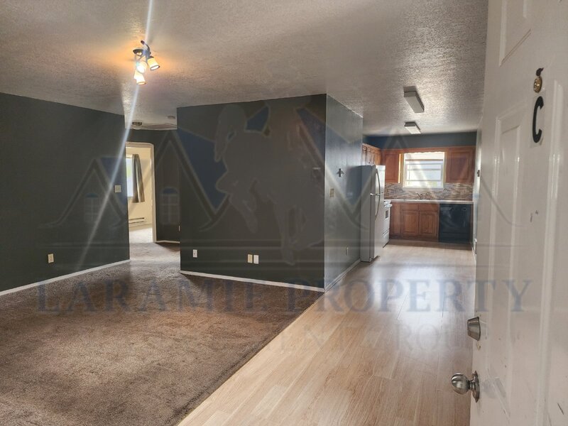 Laramie Condo: 1166 N 19th