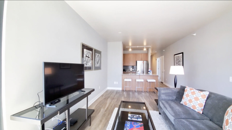 Chicago Condo: 501 N State St