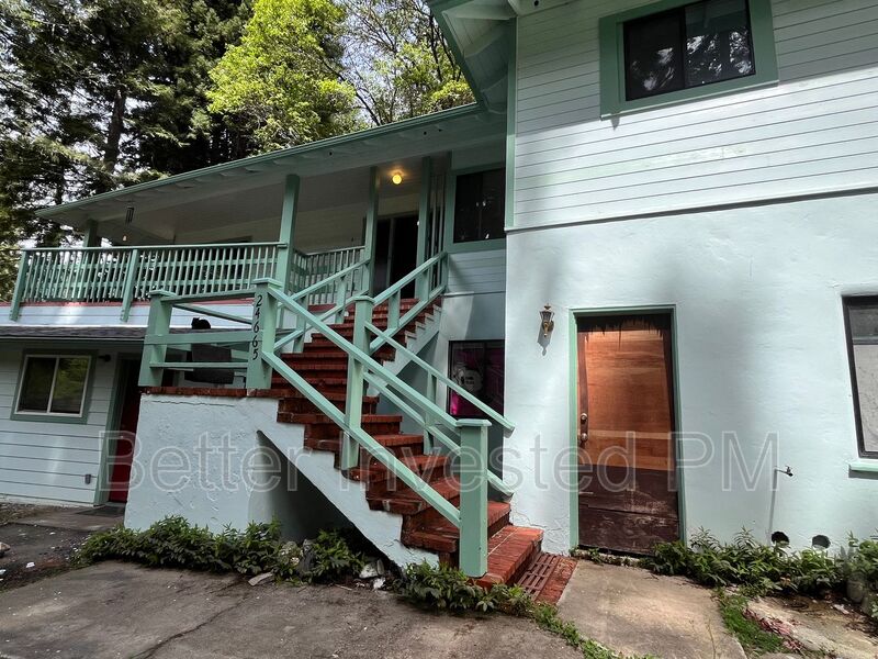 Willits House: 24665 Birch St