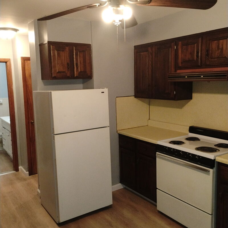 Albany Condo: 231 Lark Street