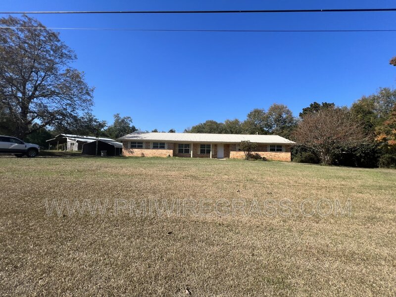 New Brockton House: 412 S Ainsley St