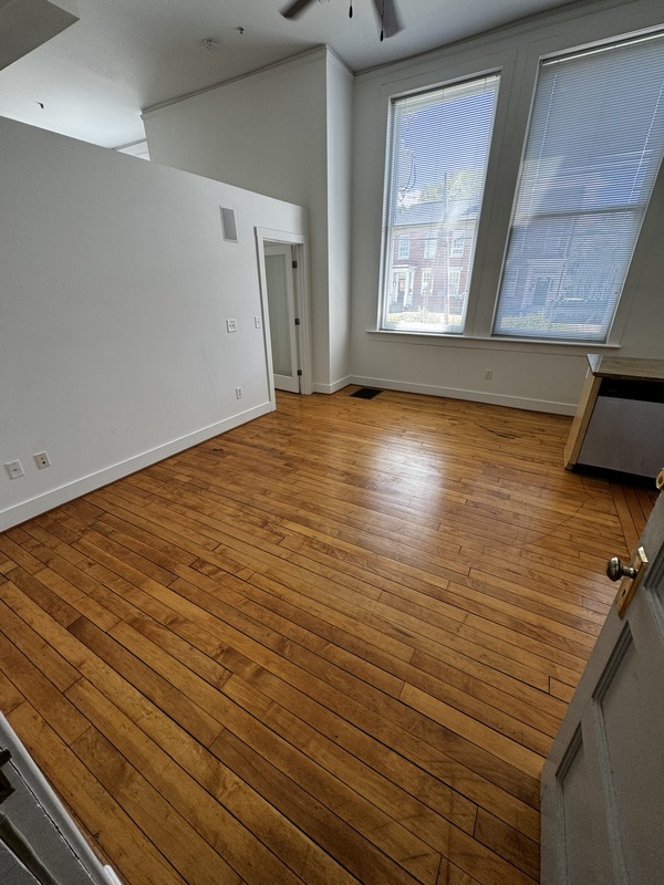 Petersburg Condo: 141 e wythe st