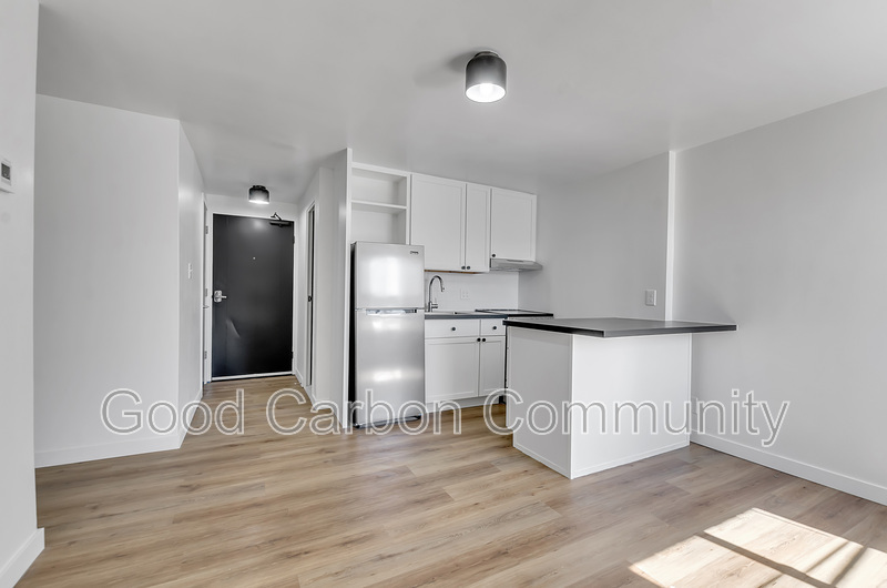 Buffalo Condo: 111 Porter Ave. 1 Bedroom
