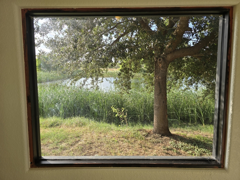 Charlotte Condo: 126 Alton Avenue - C7