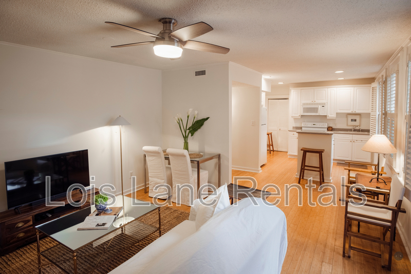 Charleston Condo: 117 Church Street, #A