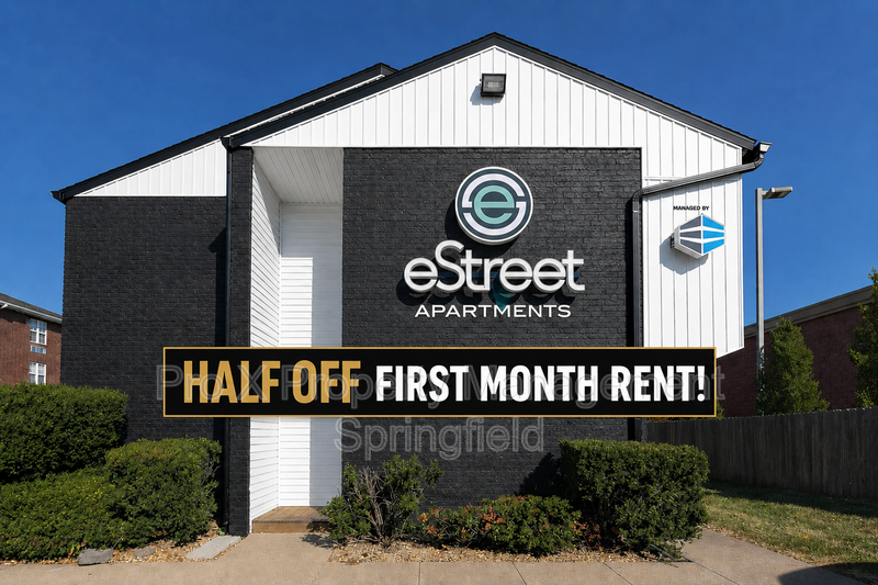 Springfield Condo: 1147 E Elm St