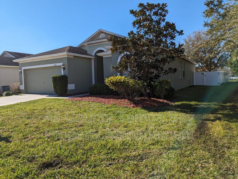 Wesley Chapel House: 6743 Wild Elm Ct