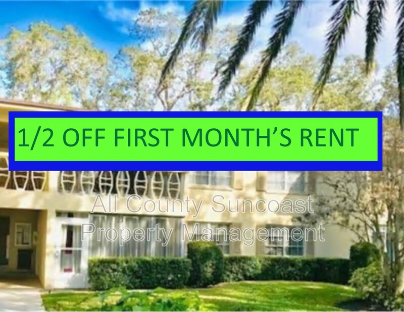 Dunedin Condo: 1515 Bayshore Blvd #3