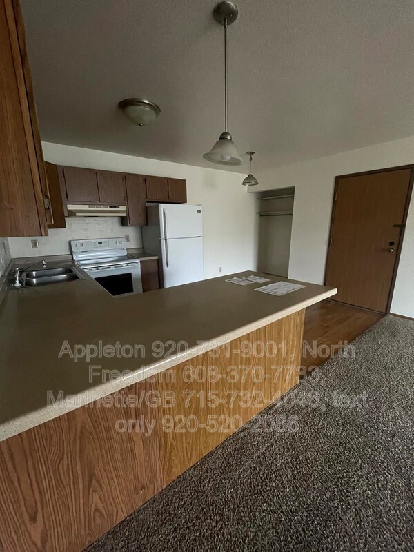 Appleton Condo: 139 E. Mitchell Ave. #3