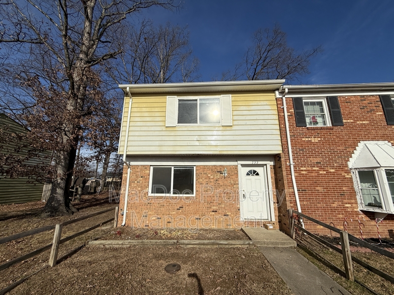Fredericksburg Townhome: 733 Bellows Avenue