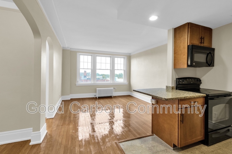 Buffalo Condo: 175 North St.