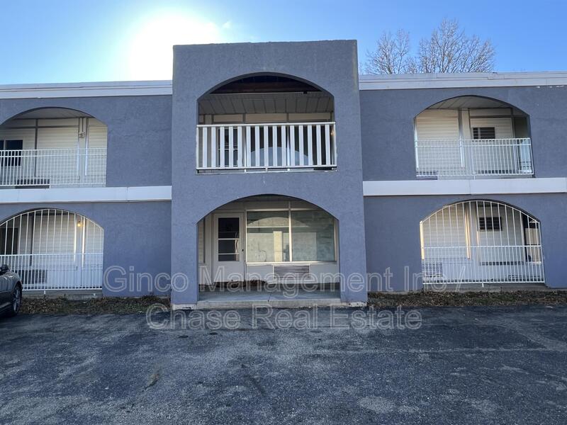 Dixon Condo: 1231 North Galena Avenue - 110