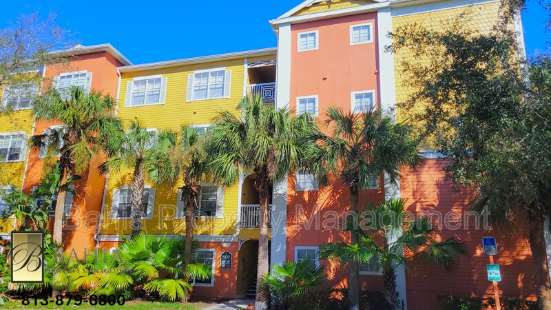 Tampa Condo: 4207 S Dale Mabry Hwy