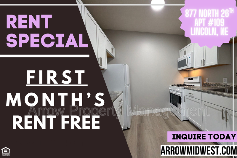 Lincoln Condo: 867 N 26th Street