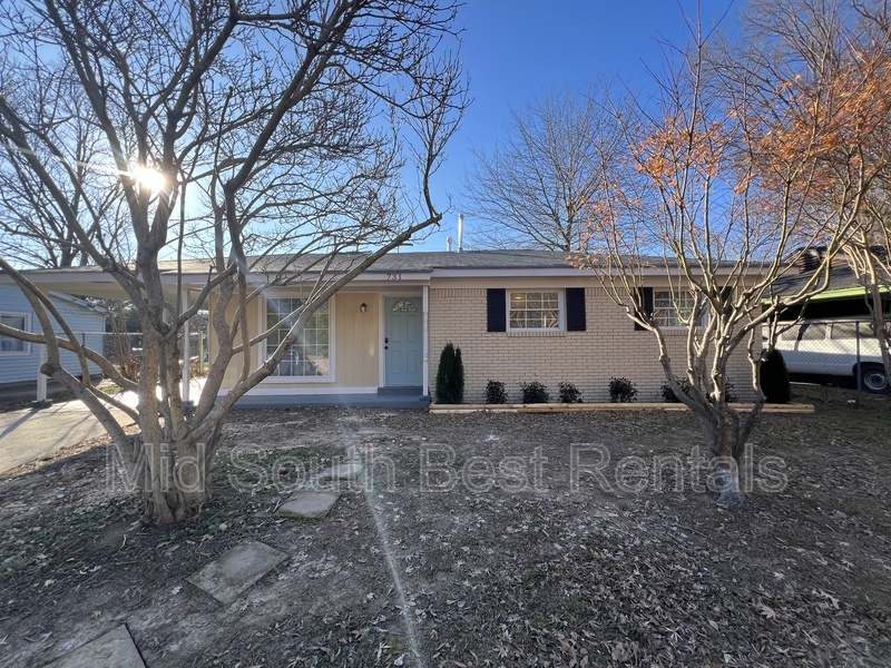 Memphis House: 731 W Raines Rd