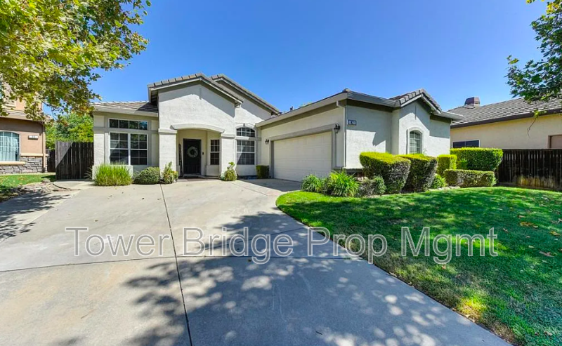 Roseville House: 42 Striped Moss Court
