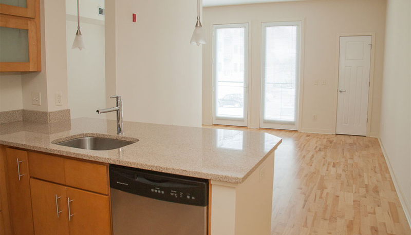 Harrisonburg Condo: 242 East Water Street Suite 103