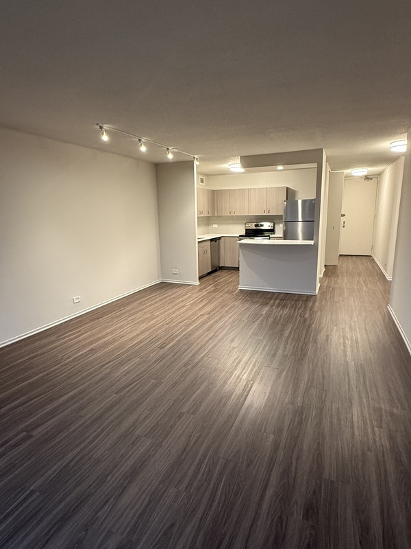 Chicago Condo: 1154 n dearborn st