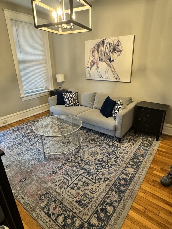 St. Louis Condo: 1651 S Spring