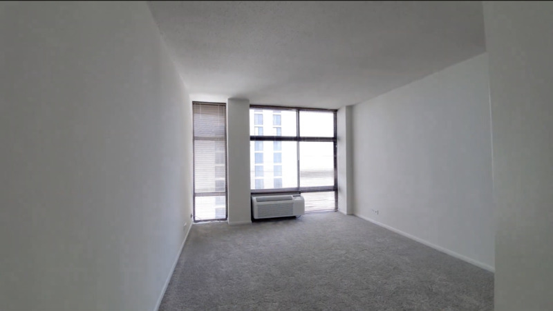 Chicago Condo: 60 E Scott st