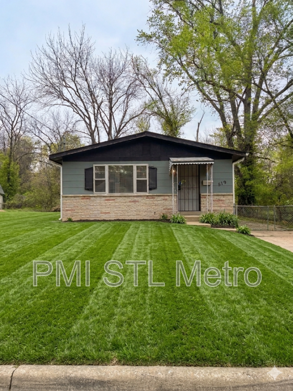 Ferguson House: 519 Graf Ave