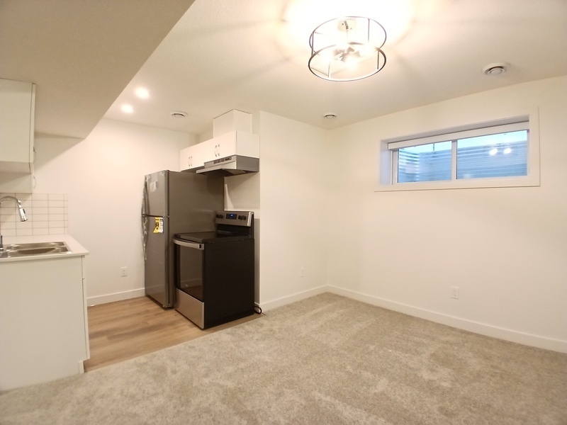 Edmonton Condo: 1954 209 St NW