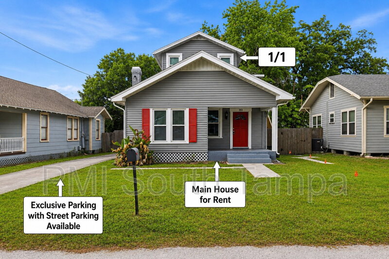 Tampa House: 203 W Emma St