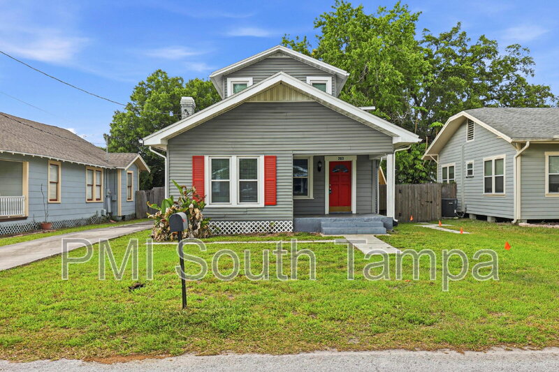 Tampa House: 203 W Emma St