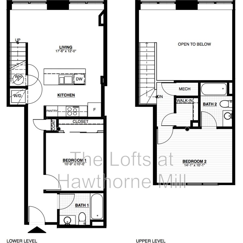 Charlotte Apartment: 1101 Hawthorne Lane