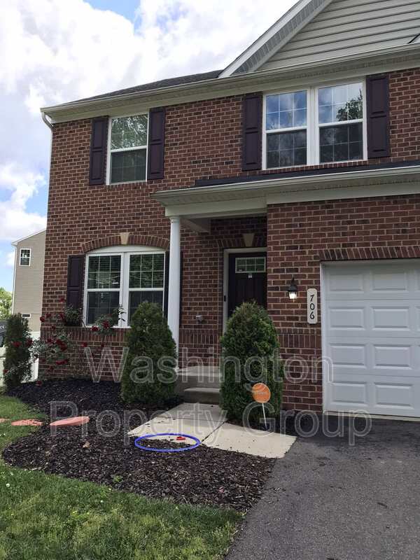 Capitol Heights House: 706 Rollins Ave Basement