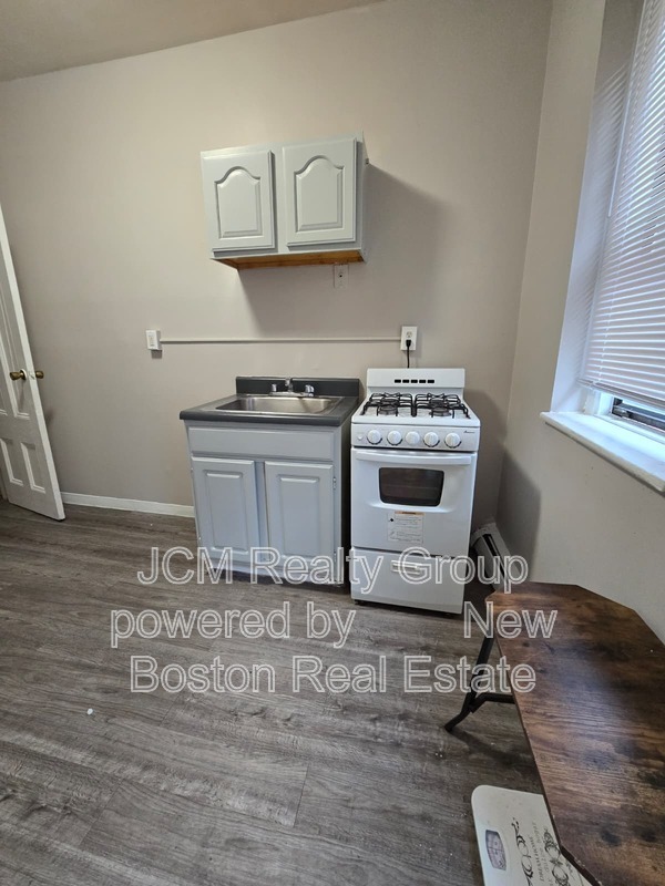 Jamaica Plain Condo: 191 Green St