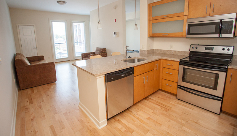 Harrisonburg Condo: 238 East Water Street Suite 203