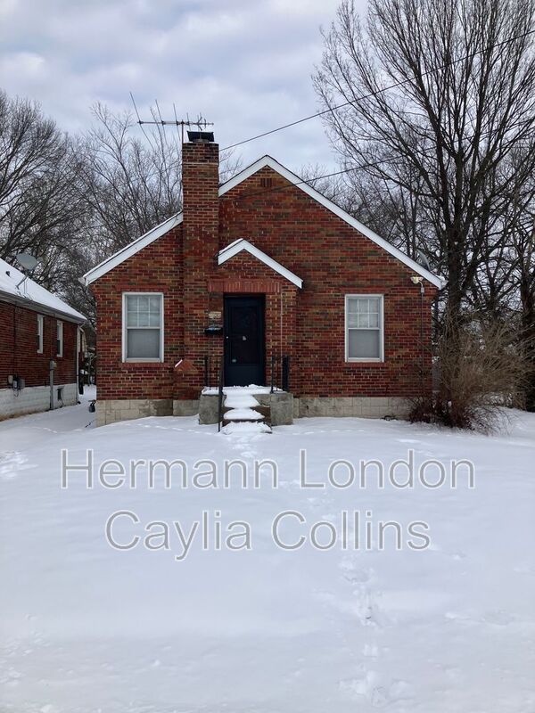 Saint Louis House: 420 Shirley Avenue