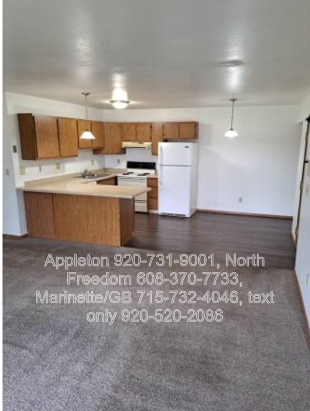 Appleton Condo: 101 E. Mitchell Ave. #3