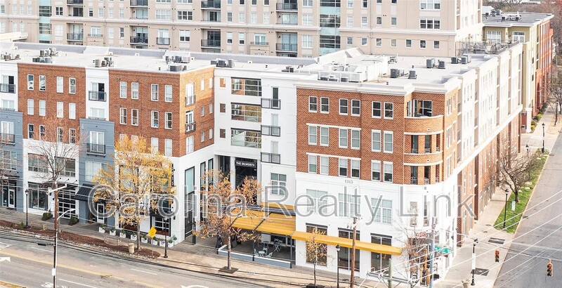 Charlotte House: 1315 East Blvd