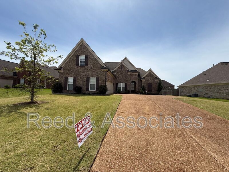 SOUTHAVEN House: 3261 Vineyard Dr S