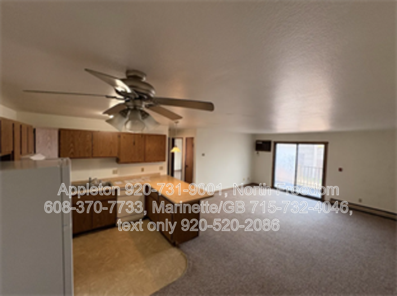 Appleton Condo: 129 E. Mitchell Ave. #6